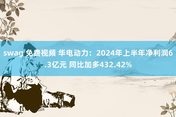 swag 免费视频 华电动力：2024年上半年净利润6.3亿元 同比加多432.42%