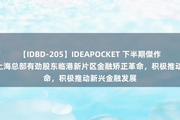 【IDBD-205】IDEAPOCKET 下半期傑作集2009 央行上海总部有劲股东临港新片区金融矫正革命，积极推动新兴金融发展