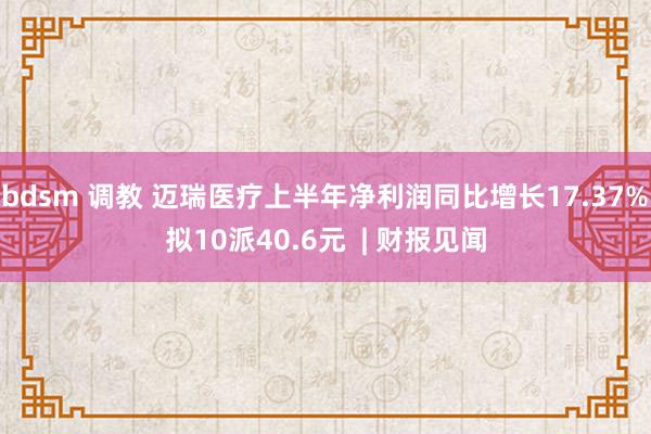 bdsm 调教 迈瑞医疗上半年净利润同比增长17.37% 拟10派40.6元  | 财报见闻