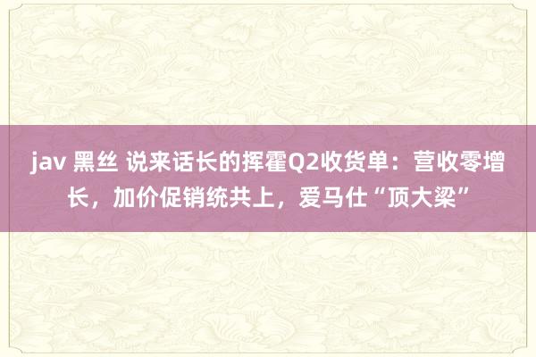 jav 黑丝 说来话长的挥霍Q2收货单：营收零增长，加价促销统共上，爱马仕“顶大梁”