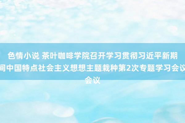 色情小说 茶叶咖啡学院召开学习贯彻习近平新期间中国特点社会主义想想主题栽种第2次专题学习会议