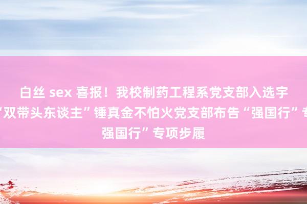 白丝 sex 喜报！我校制药工程系党支部入选宇宙高校“双带头东谈主”锤真金不怕火党支部布告“强国行”专项步履