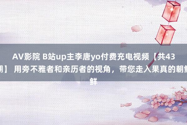 AV影院 B站up主李唐yo付费充电视频【共43期】 用旁不雅者和亲历者的视角，带您走入果真的朝鲜