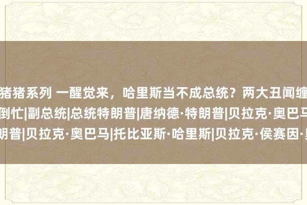 猪猪系列 一醒觉来，哈里斯当不成总统？两大丑闻缠身，奥巴马有时帮了倒忙|副总统|总统特朗普|唐纳德·特朗普|贝拉克·奥巴马|托比亚斯·哈里斯|贝拉克·侯赛因·奥巴马