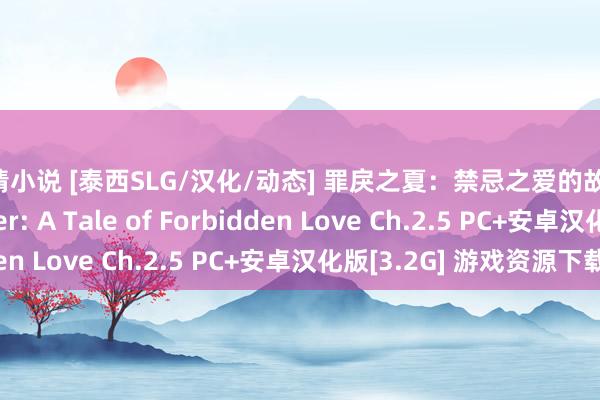 色情小说 [泰西SLG/汉化/动态] 罪戾之夏：禁忌之爱的故事 Sinful Summer: A Tale of Forbidden Love Ch.2.5 PC+安卓汉化版[3.2G] 游戏资源下载