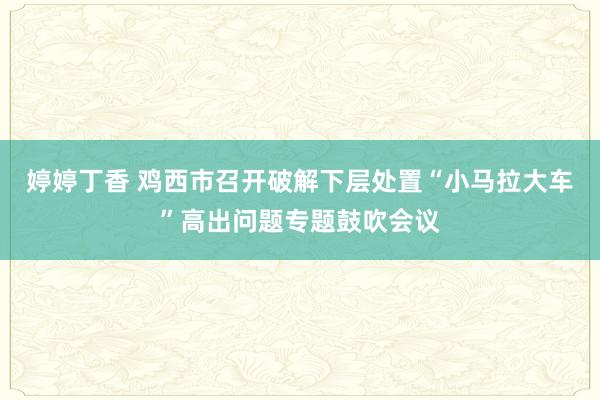 婷婷丁香 鸡西市召开破解下层处置“小马拉大车”高出问题专题鼓吹会议