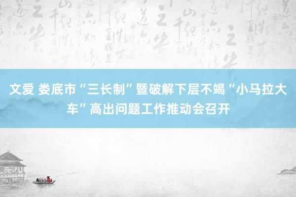 文爱 娄底市“三长制”暨破解下层不竭“小马拉大车”高出问题工作推动会召开