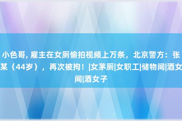 小色哥， 雇主在女厕偷拍视频上万条，北京警方：张某某（44岁），再次被拘！|女茅厕|女职工|储物间|酒女子