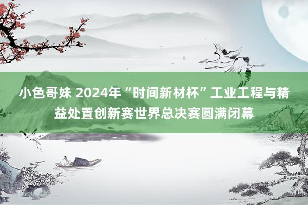 小色哥妹 2024年“时间新材杯”工业工程与精益处置创新赛世界总决赛圆满闭幕