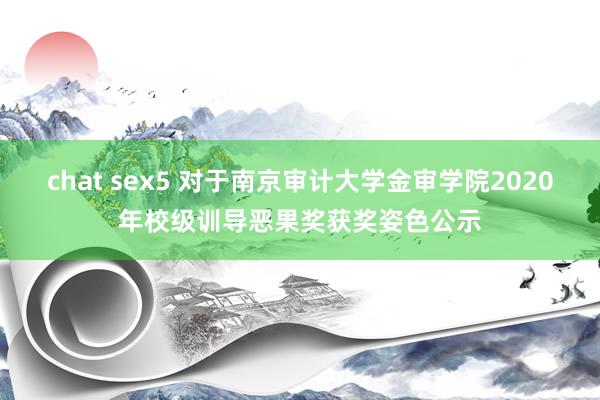 chat sex5 对于南京审计大学金审学院2020年校级训导恶果奖获奖姿色公示