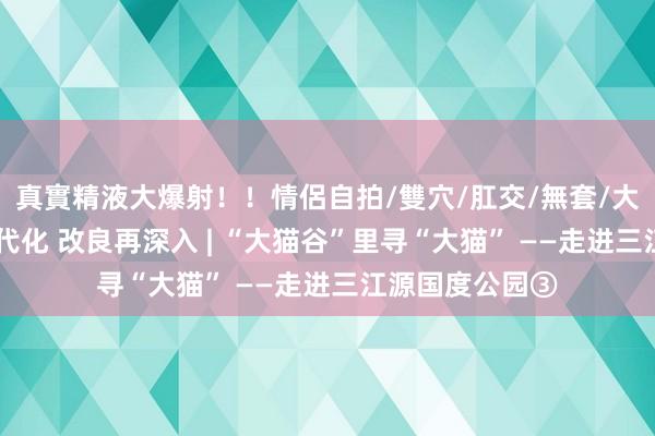 真實精液大爆射！！情侶自拍/雙穴/肛交/無套/大量噴精 锚定当代化 改良再深入 | “大猫谷”里寻“大猫” ——走进三江源国度公园③