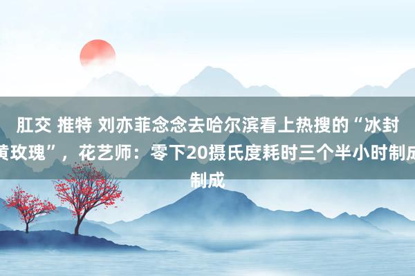 肛交 推特 刘亦菲念念去哈尔滨看上热搜的“冰封黄玫瑰”，花艺师：零下20摄氏度耗时三个半小时制成